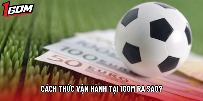Cách thức vận hành tại 1gom ra sao?