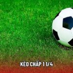 Kèo Chấp 1 1/4 Là Gì? Cách Đọc Kèo 1.25 Và Kinh Nghiệm Cược