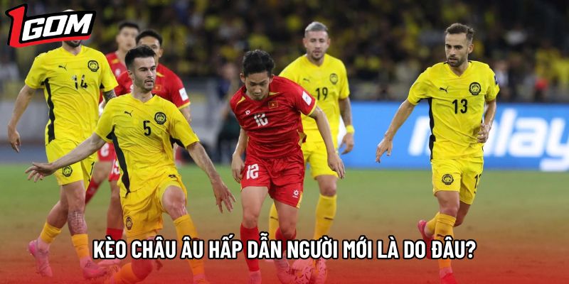 Kèo châu Âu hấp dẫn người mới là do đâu?