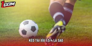 Kèo Tài Xỉu 1 3/4 Là Sao? Giải Mã Cách Đọc Và Bí Kíp Cược