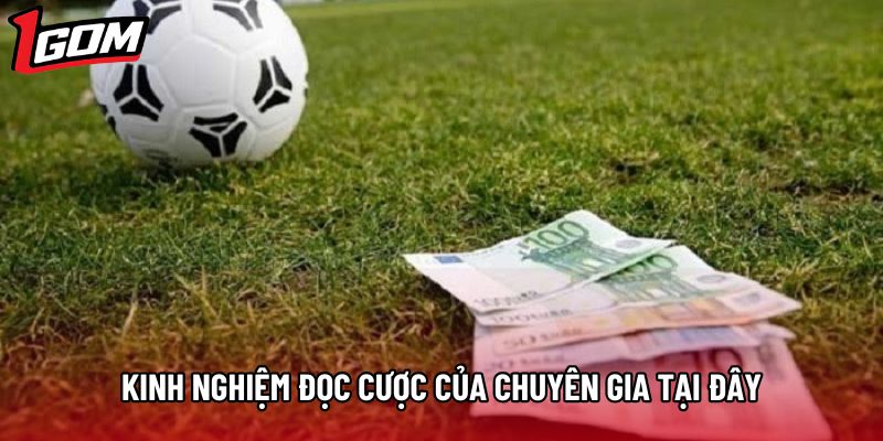 Kinh nghiệm đọc cược của chuyên gia tại đây