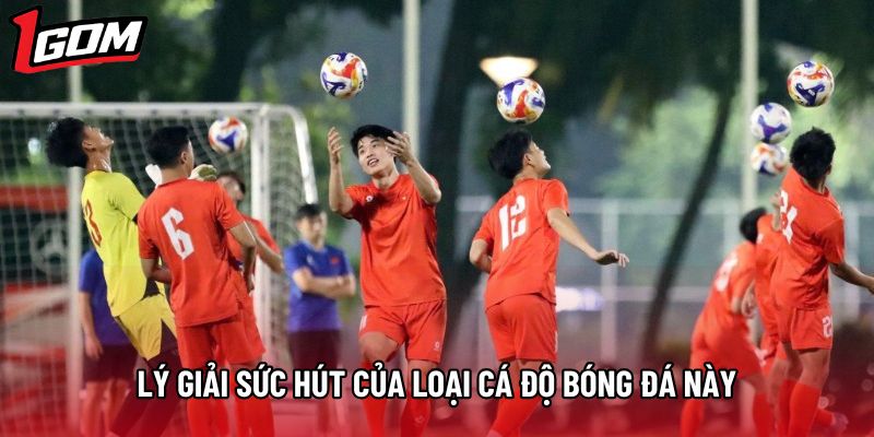 Lý giải sức hút của loại cá độ bóng đá này